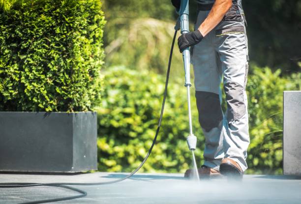 Best House Exterior Washing  in Palos Heights, IL