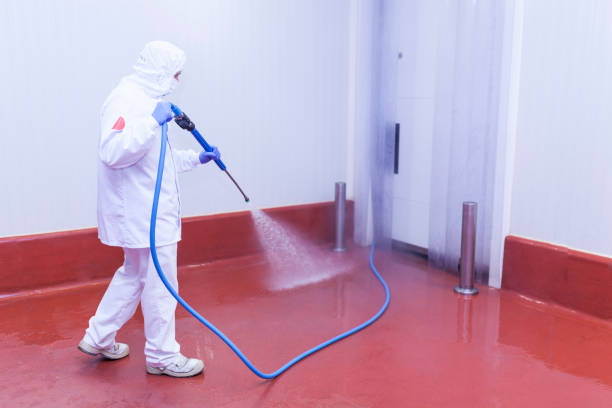 Best Warehouse Cleaning  in Palos Heights, IL